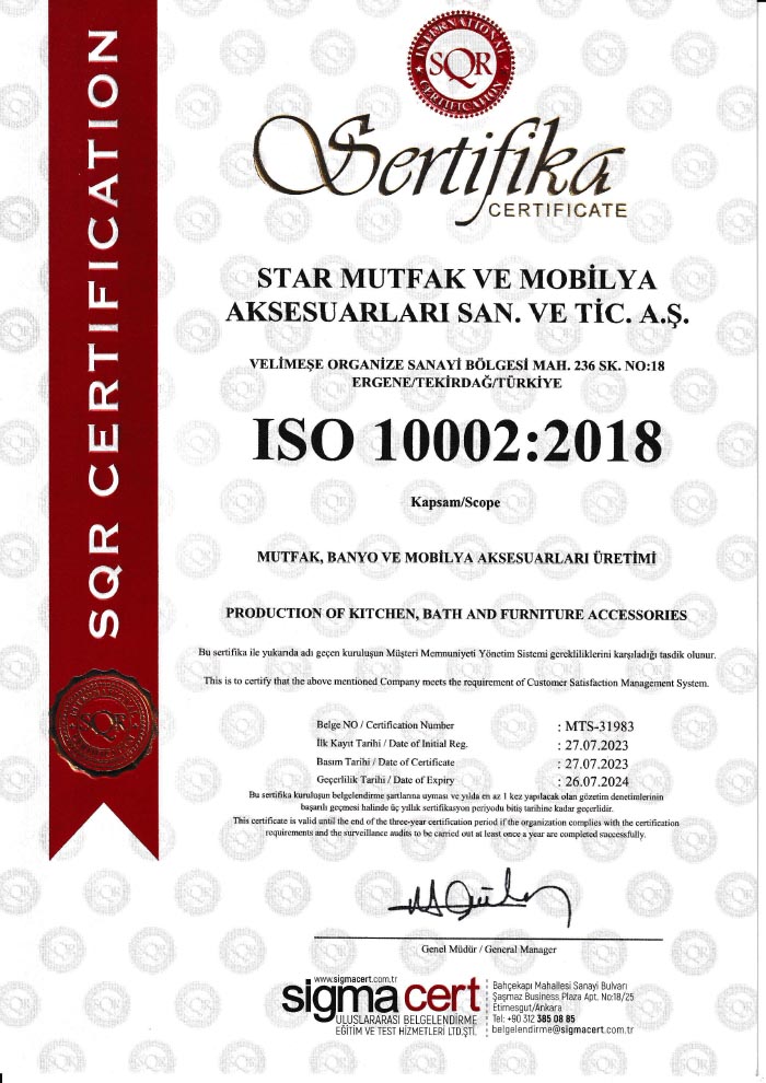 ISO 10002 Preview